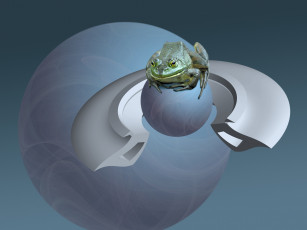 Картинка 3д графика animals животные лягушка