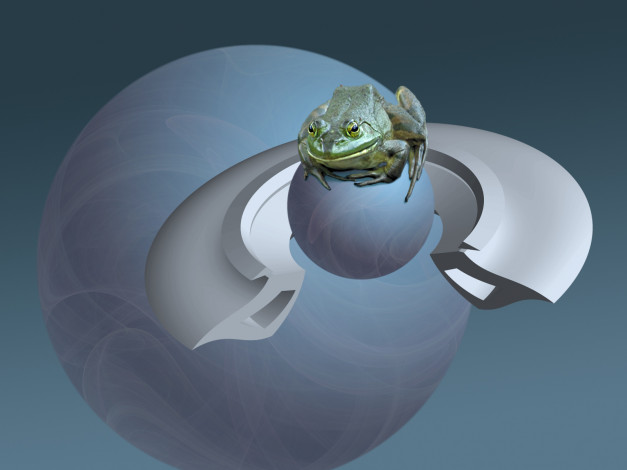 Обои картинки фото 3д, графика, animals, животные, лягушка