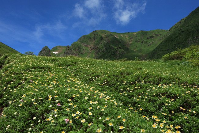 Обои картинки фото природа, горы, трава