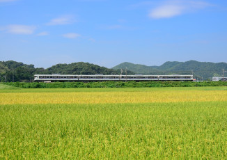 Картинка техника поезда горы поле лес поезд