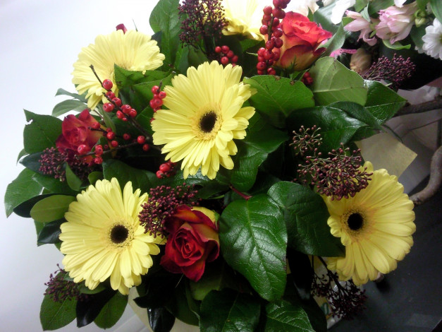 Обои картинки фото цветы, букеты, композиции, букет, герберы, розы