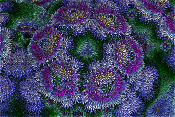 Картинка 3д графика fractal фракталы узор цвет фон