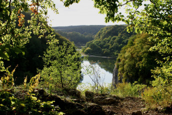 Картинка германия бавария природа реки озера река берег деревья