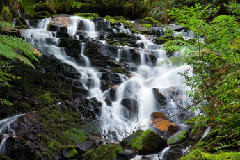 Картинка yarra ranges national park australia природа водопады водопад
