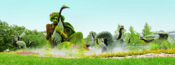 Картинка montreal botanical garden canada природа парк птицы журавли цветы канада монреаль монреальский ботанический сад