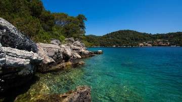 Картинка природа побережье море берег лес