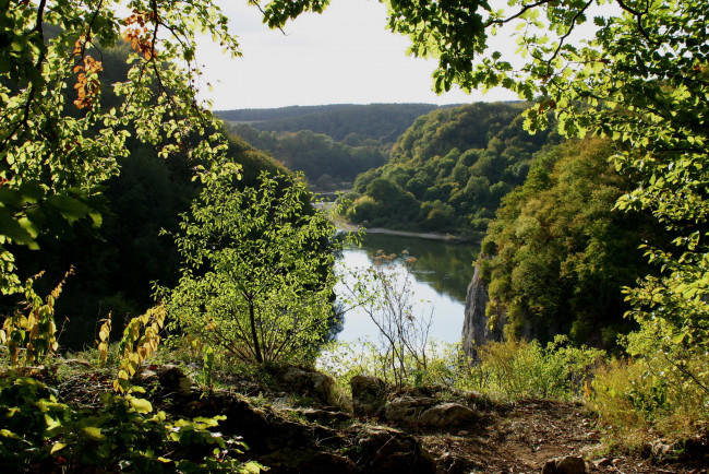 Обои картинки фото германия, бавария, природа, реки, озера, река, берег, деревья
