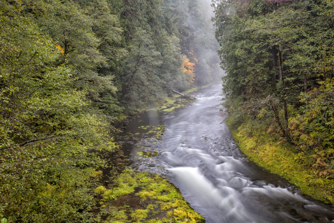 Обои картинки фото природа, реки, озера, лес, река