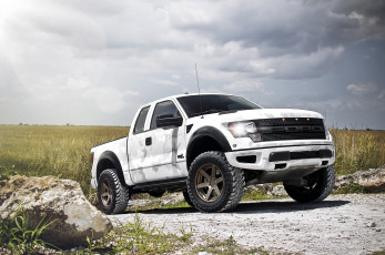 Картинка ford+f-150+raptor автомобили ford поле внедорожник