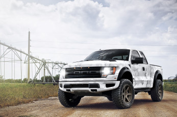 Картинка ford+f-150+raptor автомобили ford внедорожник поле