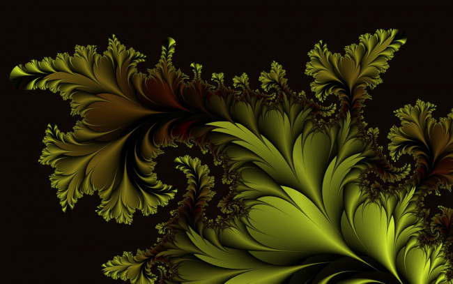 Обои картинки фото 3д графика, фракталы , fractal, узор