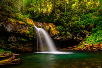 Картинка природа водопады водопад река лес