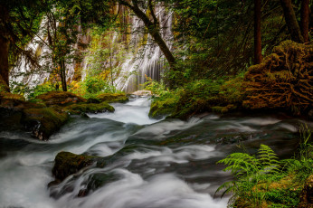Картинка природа водопады водопад река лес
