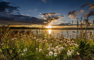 Картинка природа восходы закаты рассвет