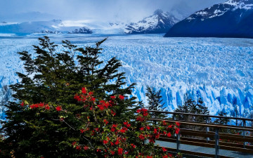 Картинка природа айсберги+и+ледники santa cruz province ледник анды патагония мост горы perito moreno glacier andes patagonia argentina аргентина перито-морено
