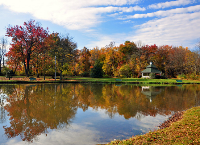 Обои картинки фото природа, парк, деревья, небо, отражения, озеро