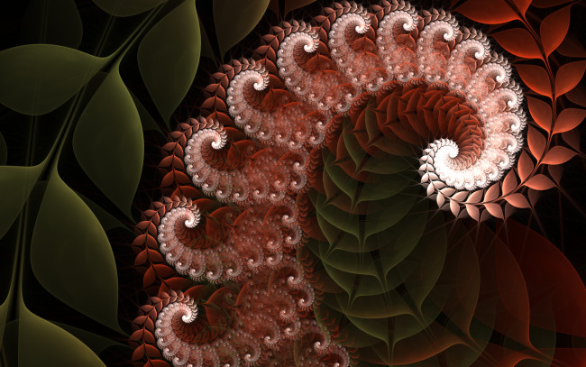 Обои картинки фото 3д графика, фракталы , fractal, узор, фон, цвета