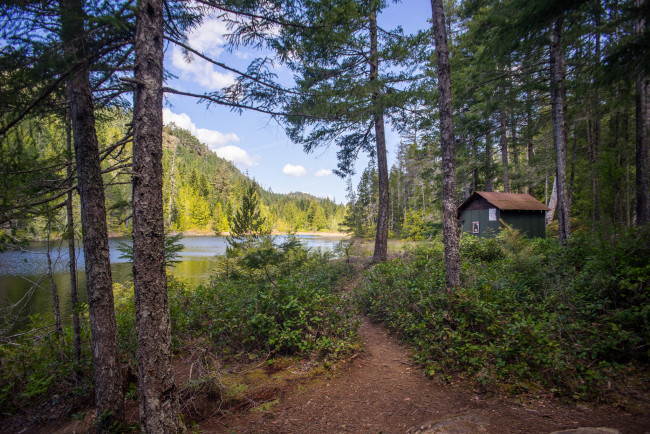 Обои картинки фото природа, дороги, тропинка, лес