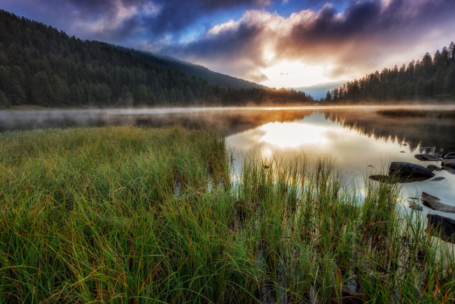 Обои картинки фото природа, реки, озера, туман, река, лес, горы