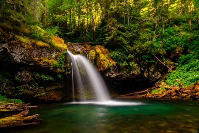 Обои картинки фото природа, водопады, водопад, река, лес