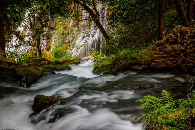 Обои картинки фото природа, водопады, водопад, река, лес