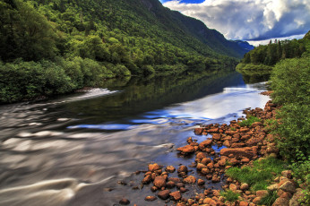 Картинка природа реки озера река лес