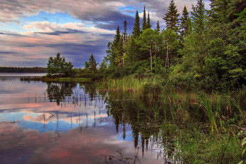 Картинка природа реки озера река лес