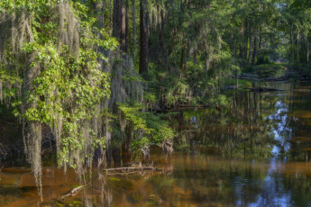 Картинка природа реки озера простор