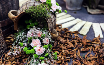 Картинка цветы букеты +композиции гвоздики хризантемы