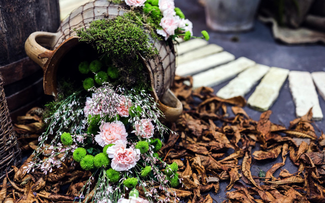 Обои картинки фото цветы, букеты,  композиции, гвоздики, хризантемы