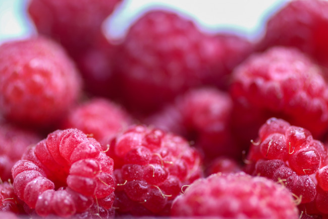 Обои картинки фото еда, малина, ягода, много