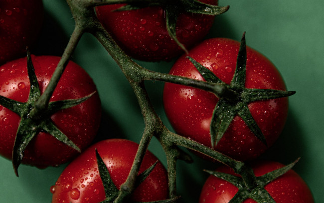 Обои картинки фото еда, помидоры, томаты