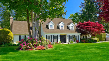 Картинка города -+здания +дома особняк лужайка