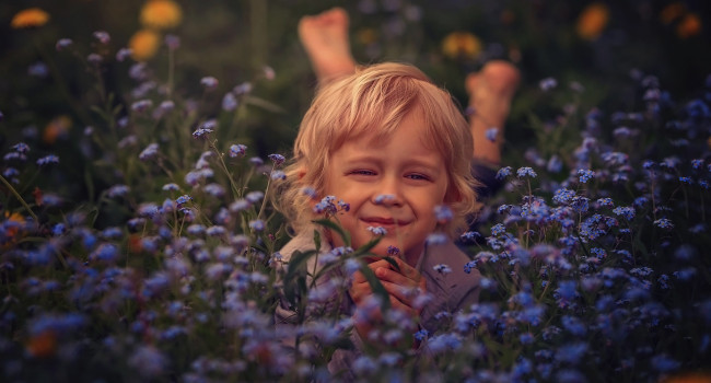 Обои картинки фото разное, настроения, мальчик, незабудки