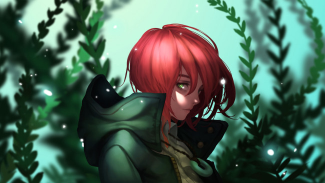 Обои картинки фото аниме, mahou tsukai no yome, невеста, чародея