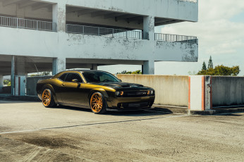 Картинка автомобили dodge muscle car hellcat challenger