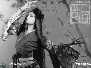 Картинка toshiba бренды