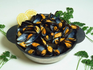 Картинка еда рыба морепродукты суши роллы