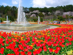 обоя города, фонтаны