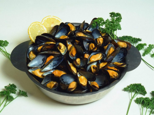 Обои картинки фото еда, рыба, морепродукты, суши, роллы