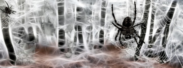 Картинка разное компьютерный дизайн