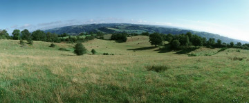 Картинка природа