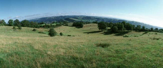 Обои картинки фото природа