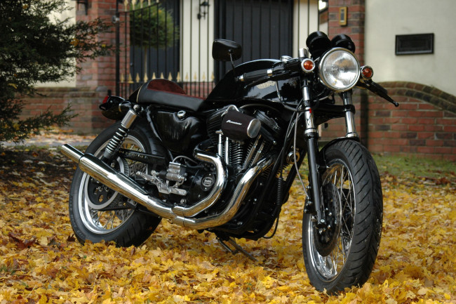 Обои картинки фото мотоциклы, harley, davidson, thunderstorm