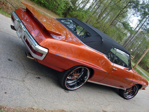 Обои картинки фото автомобили, pontiac, gto