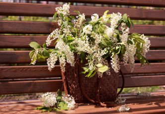 Картинка цветы цветущие деревья кустарники черемуха