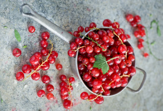 Картинка еда смородина красная сморолина