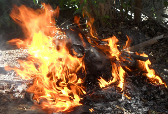 Картинка природа огонь костер