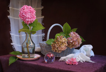 Картинка цветы гортензия натюрморт корзинка