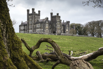 Картинка города дворцы замки крепости дворец дерево